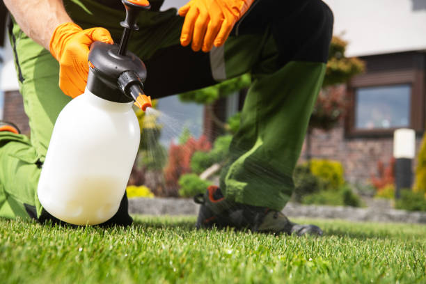 Best Wasp Removal Services  in Claymont, DE