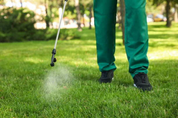 Best Affordable Pest Control Services  in Claymont, DE