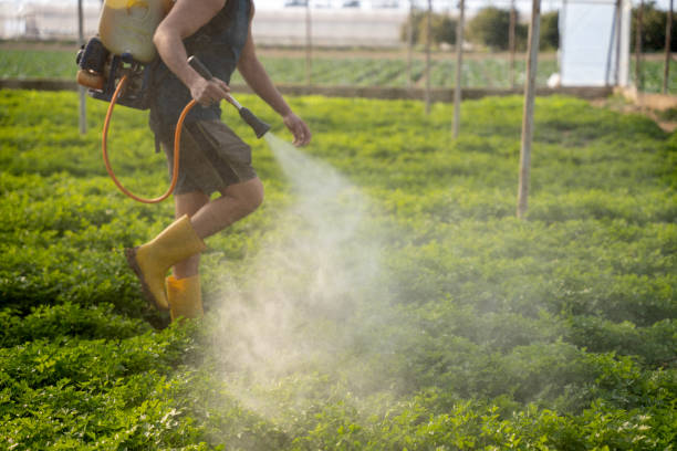 Professional Pest Control in Claymont, DE