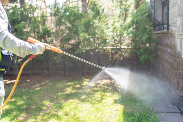 Best Flea Control Services  in Claymont, DE