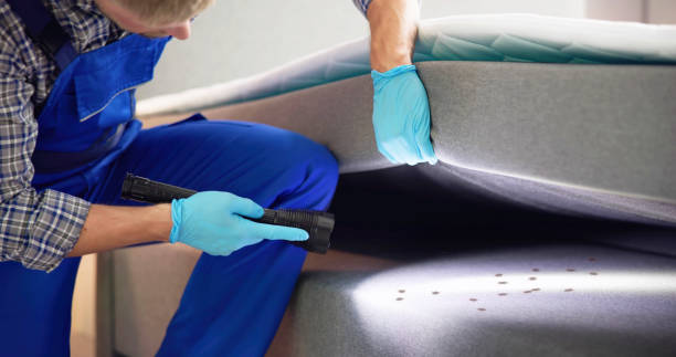 Best Mosquito Control Services  in Claymont, DE