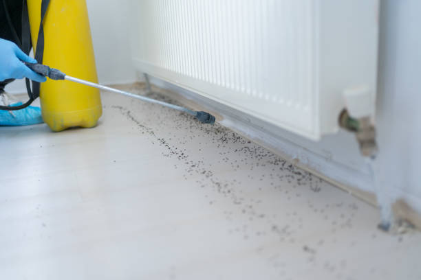 Best Commercial Pest Control Services  in Claymont, DE