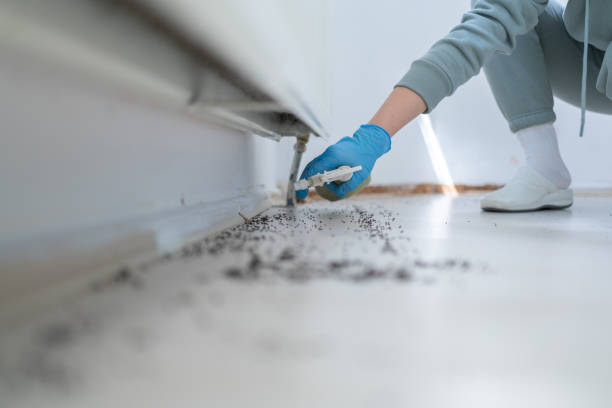 Best Residential Pest Control  in Claymont, DE